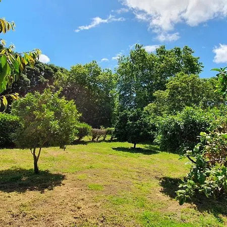 Pio Xii - Local Maison d'hôtes Ponta Delgada