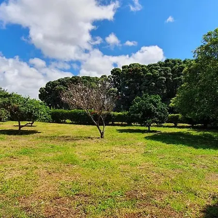 Penzion Pio Xii - Local