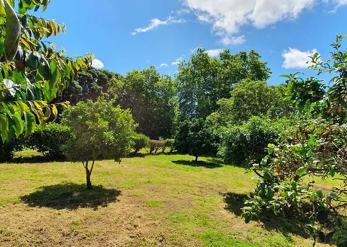 Pio Xii - Local 게스트하우스 Ponta Delgada