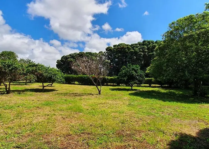 게스트하우스 Pio Xii - Local