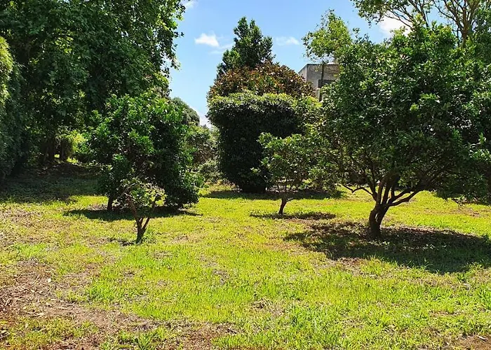 Pio Xii - Local Ponta Delgada