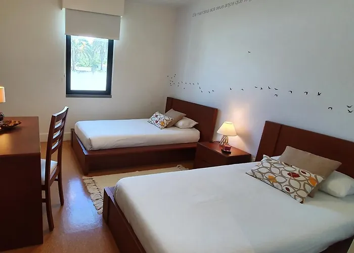 Pio Xii - Local Affittacamere